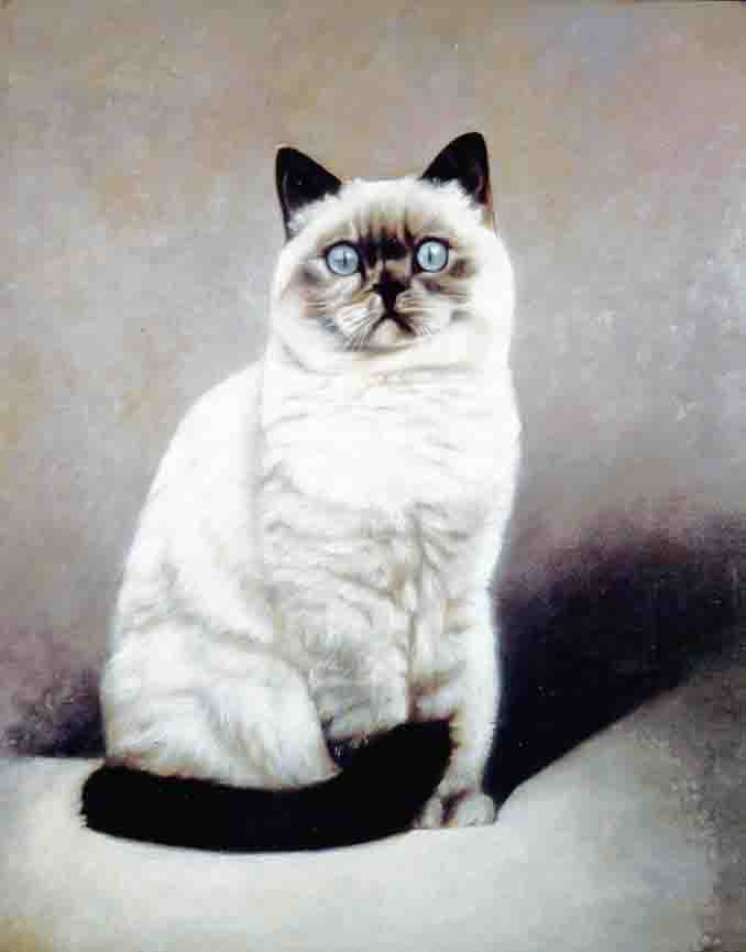 Originale von Michailidis